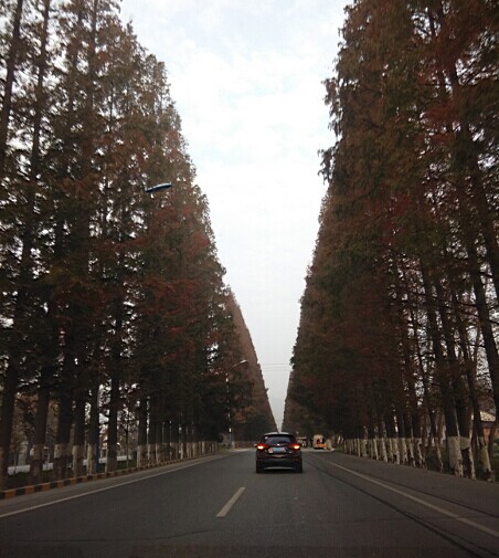 咸阳尚乘4S店车友俱乐部,自驾游出行啦-起亚咸