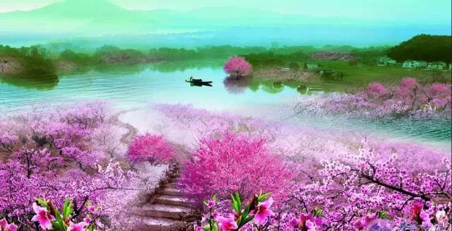 沿着高速去赏花 重庆周边仙境般的花海