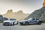 奔驰AMG GT C官图 巴