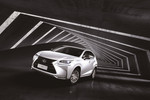 雷克萨斯NX 200特别