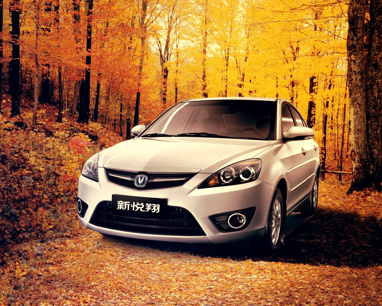 品牌时尚 舒适动感 长安新悦翔